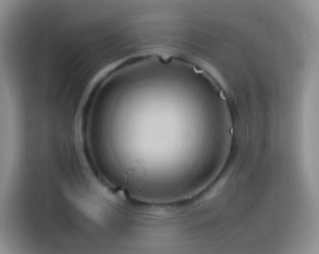 X0000114060987200910051213