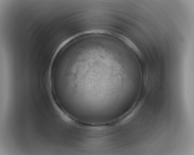 X0000114060988200910051213