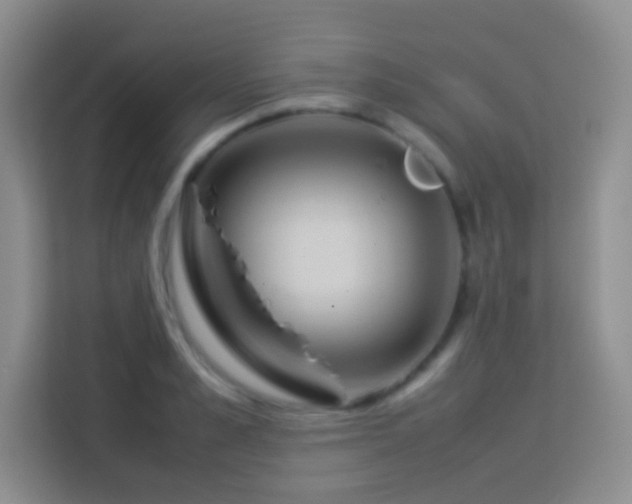 X0000114060989200910051213