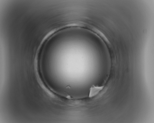 X0000114060991200910051213