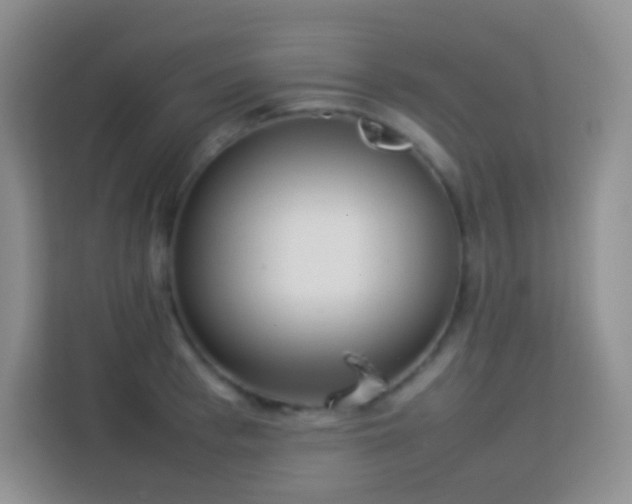 X0000114060993200910051213