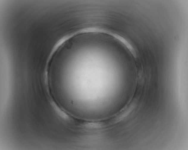 X0000114060998200910051213
