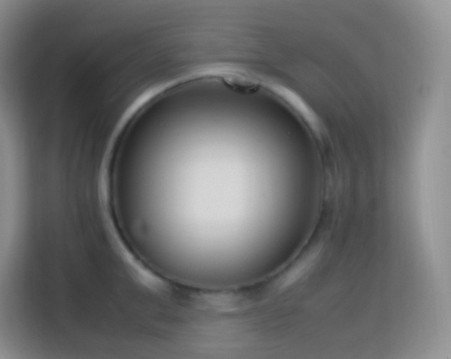 X0000114060999200910051213