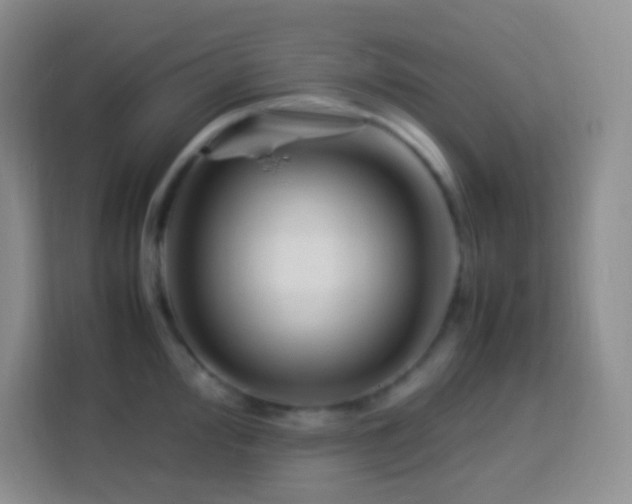 X0000114061000200910051213