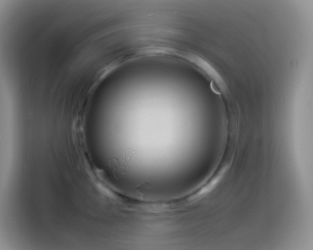 X0000114061001200910051213