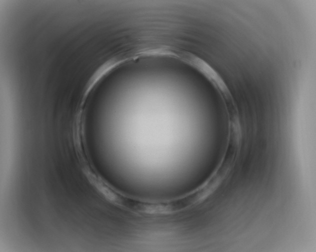 X0000114061002200910051213