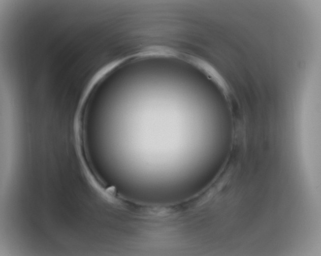 X0000114061003200910051213