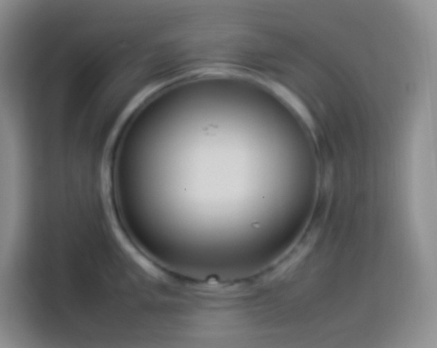 X0000114061005200910051213