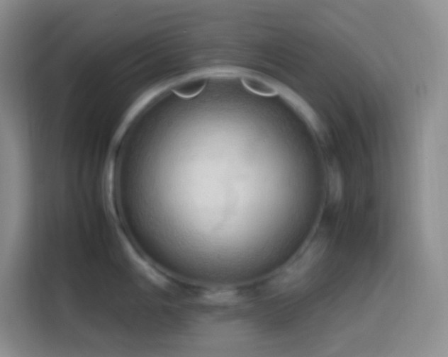 X0000114061006200910051213