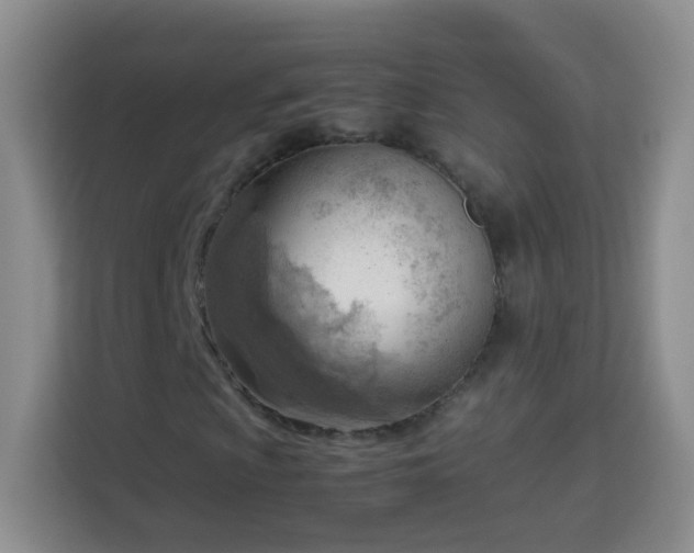 X0000114061009200910051212