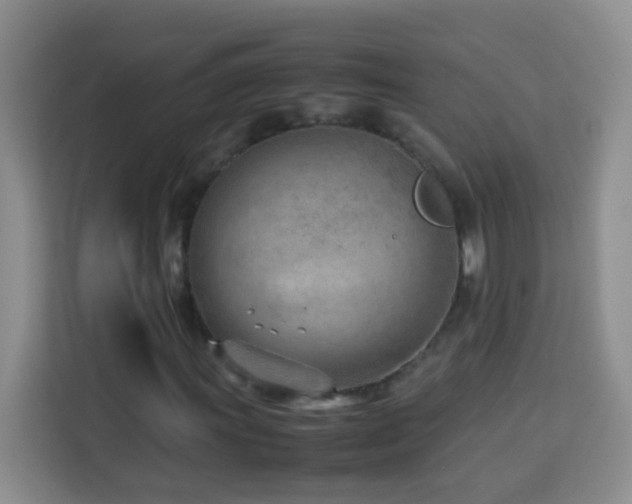 X0000114061011200910051212