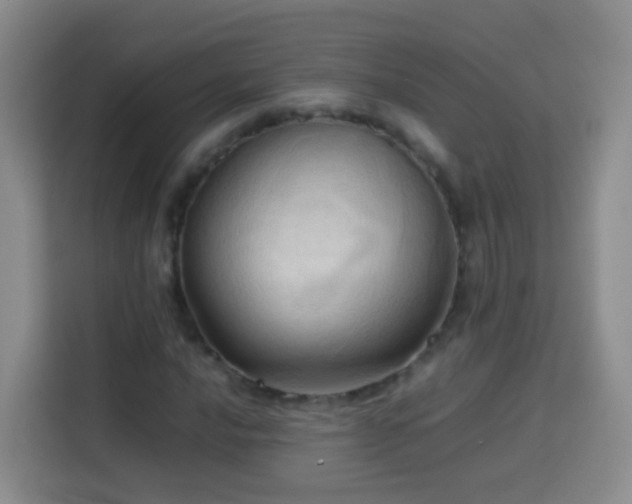 X0000114061016200910051212