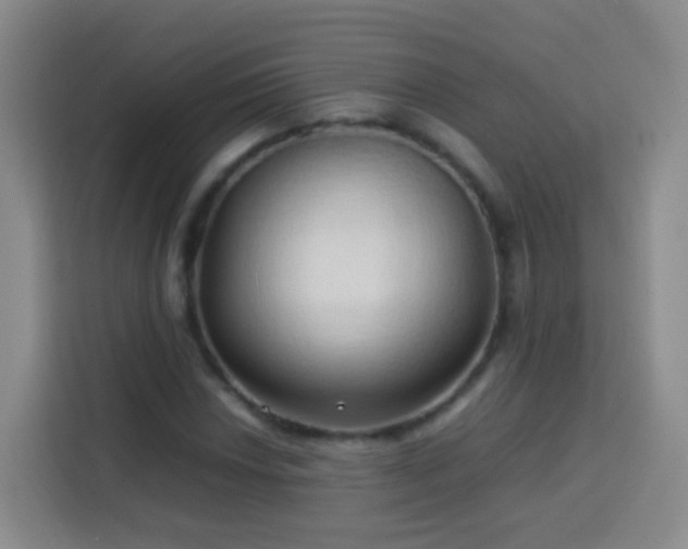 X0000114061018200910051212