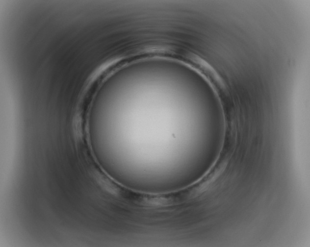 X0000114061019200910051212