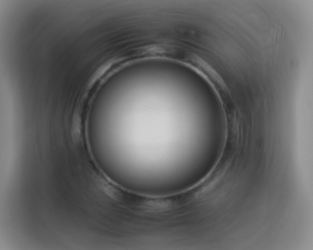 X0000114061023200910051212