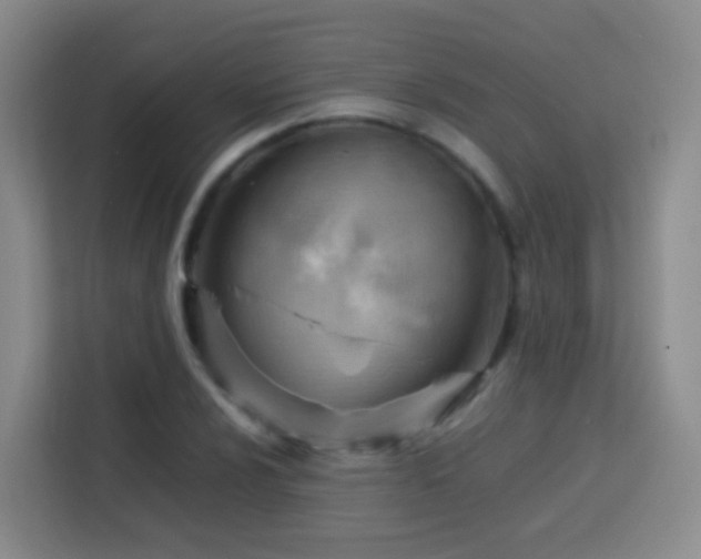 X0000114061024200910051212
