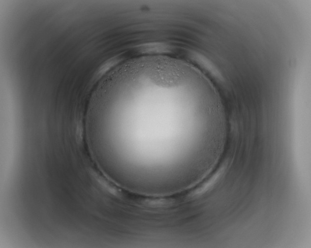 X0000114061025200910051212