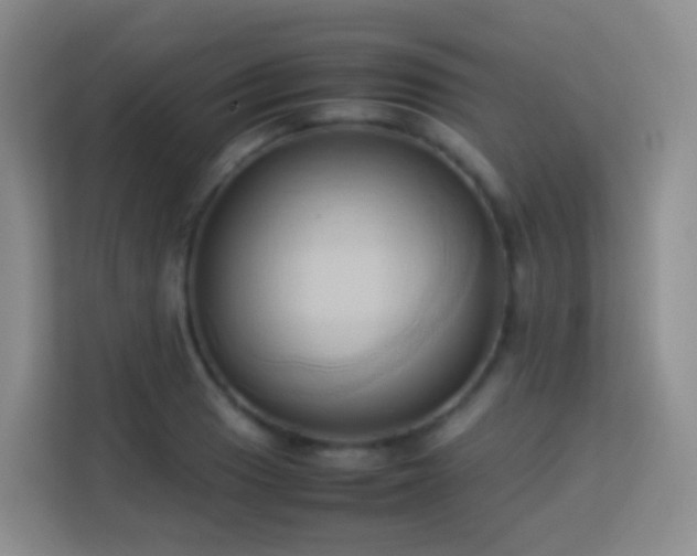 X0000114061033200910051212