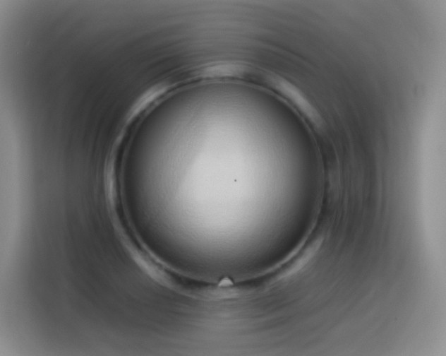 X0000114061034200910051212