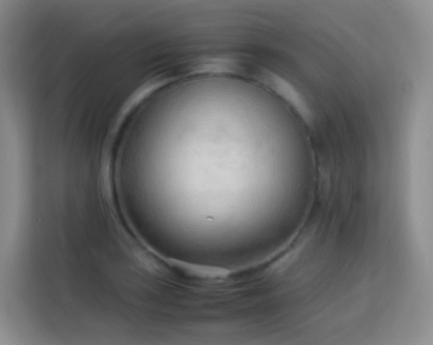 X0000114061035200910051212