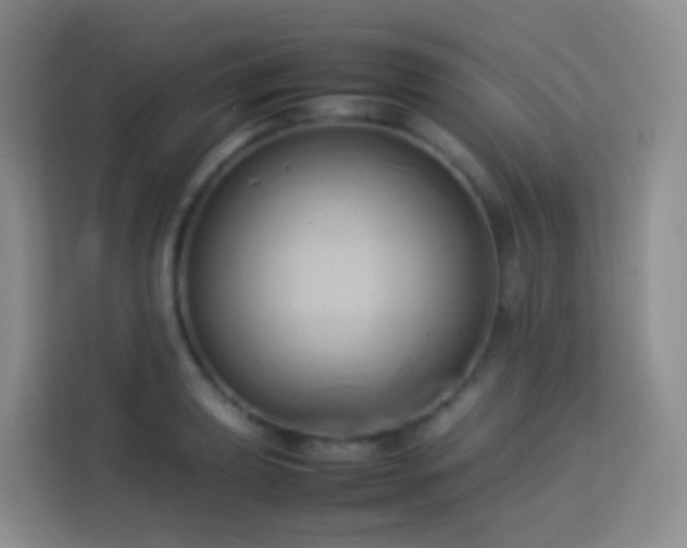 X0000114061039200910051212