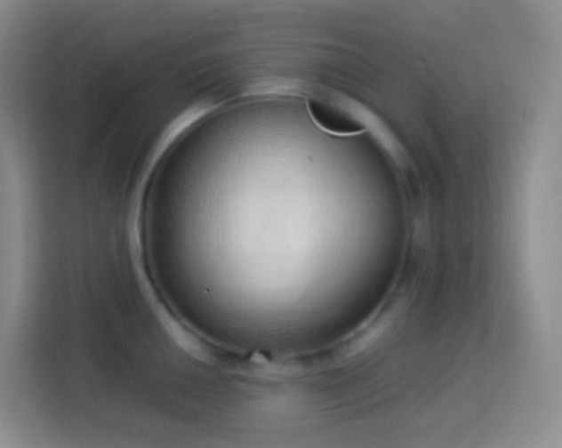 X0000114061050200910051213