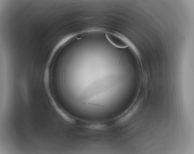 X0000114061053200910051213