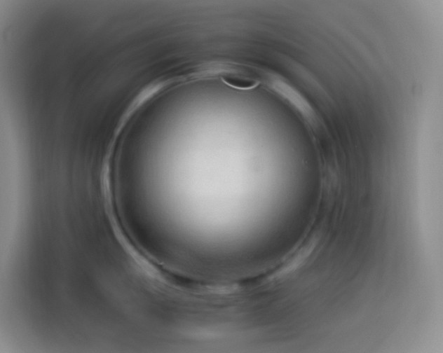 X0000114061055200910051213