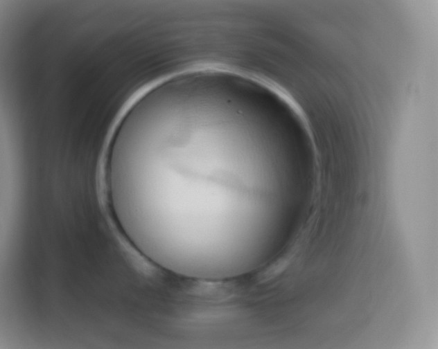 X0000114061056200910051213