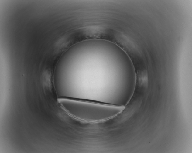 X0000114061060200910051212