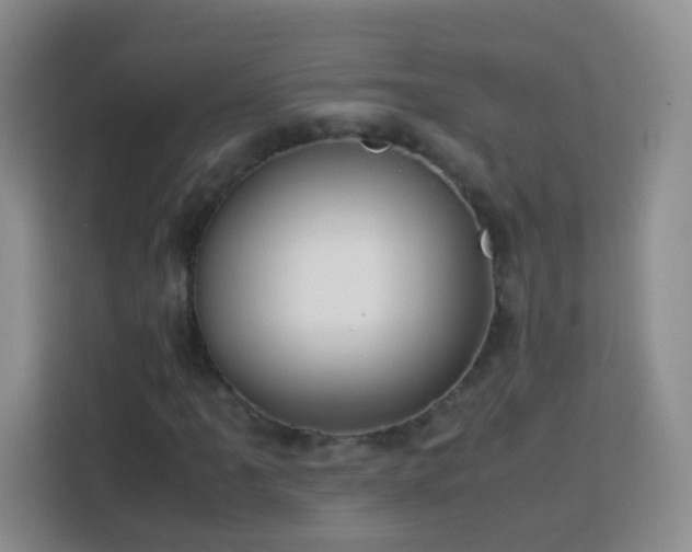 X0000114061061200910051212