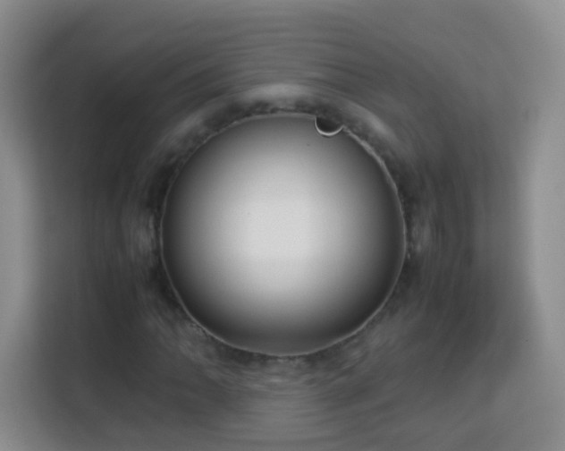 X0000114061062200910051212