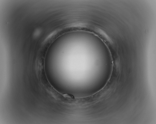 X0000114061064200910051212