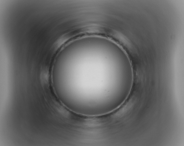 X0000114061065200910051212