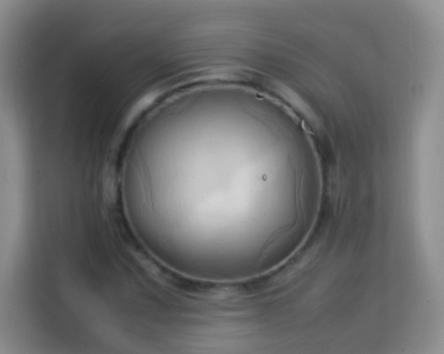 X0000114061067200910051212