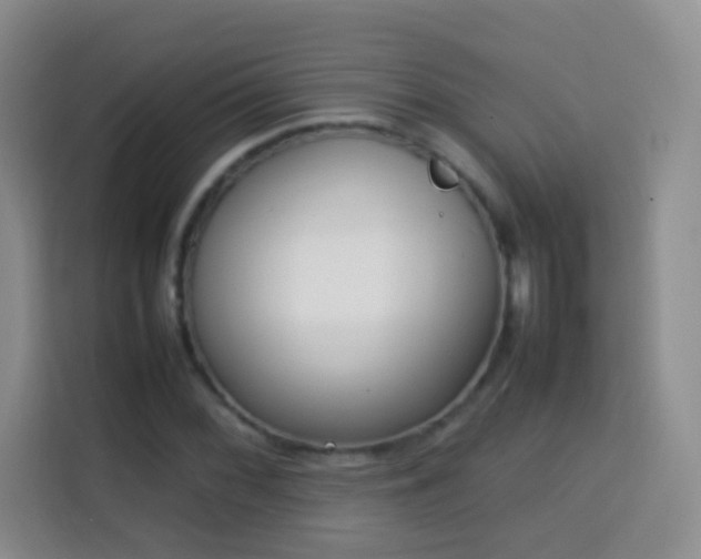 X0000114061068200910051212