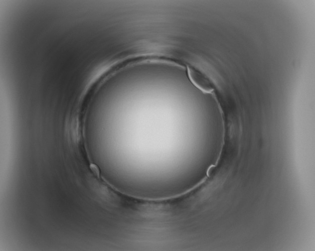 X0000114061069200910051212