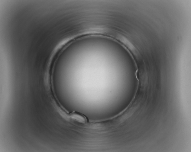 X0000114061072200910051212