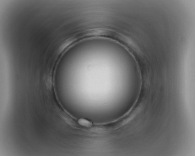X0000114061073200910051212