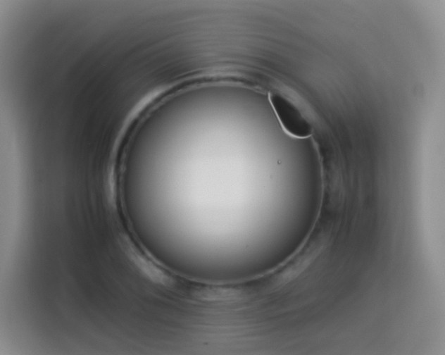 X0000114061076200910051212