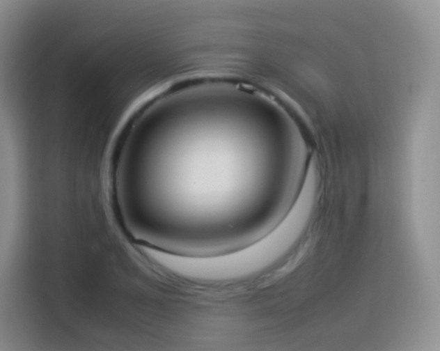 X0000114061077200910051212