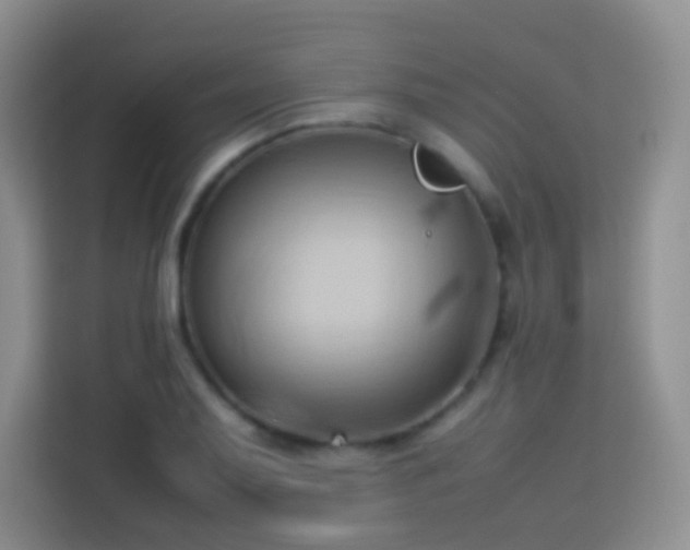 X0000114061079200910051212