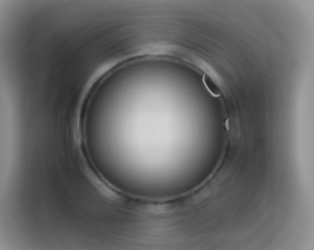 X0000114061080200910051212
