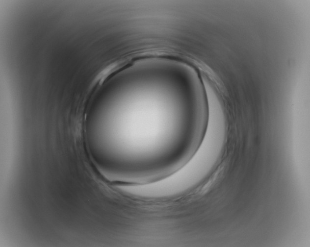 X0000114061081200910051212