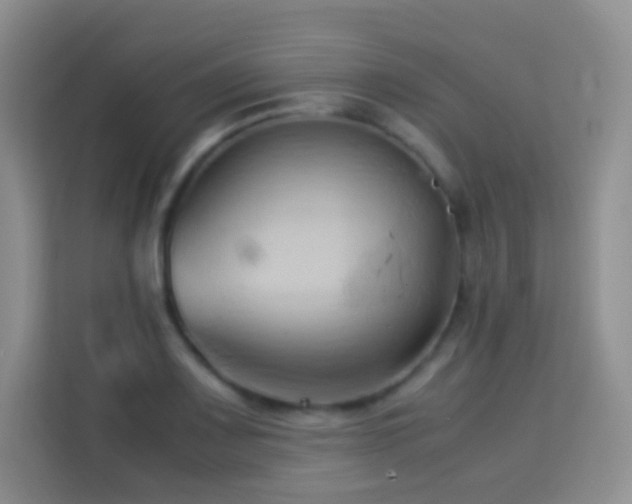 X0000114061083200910051212