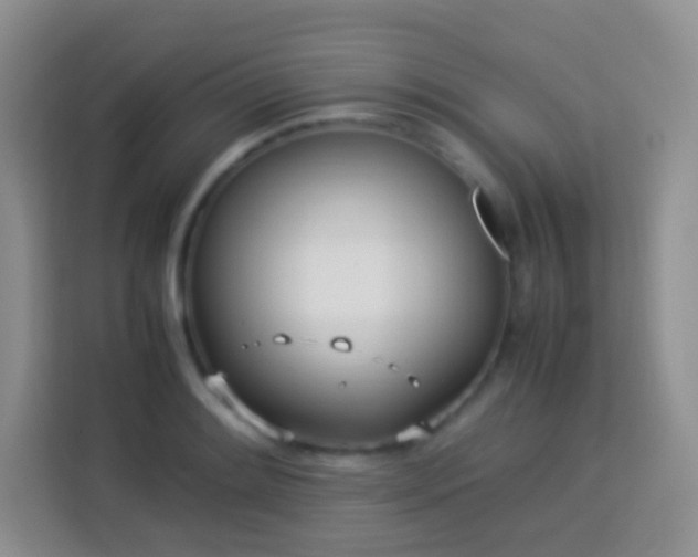 X0000114061084200910051212