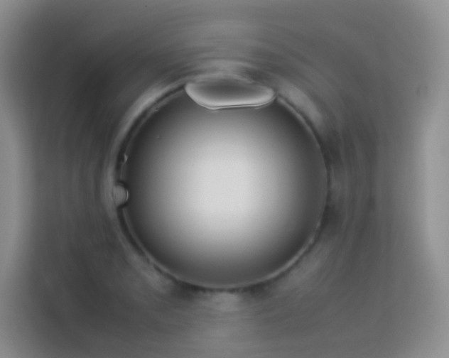 X0000114061085200910051212
