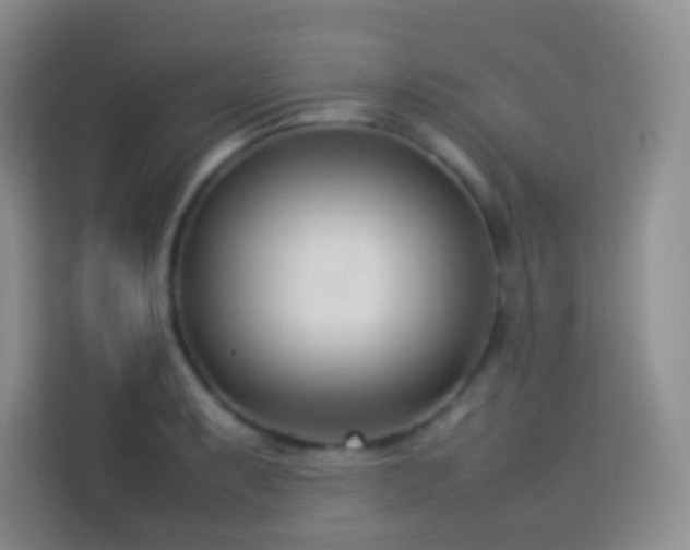 X0000114061087200910051212