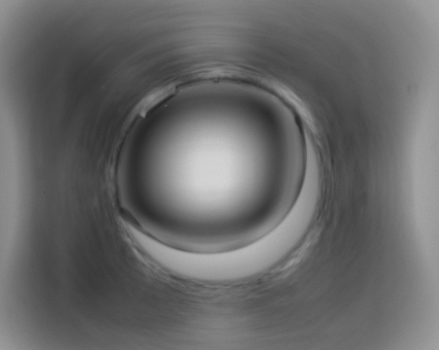 X0000114061089200910051212