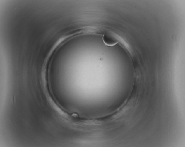 X0000114061091200910051212